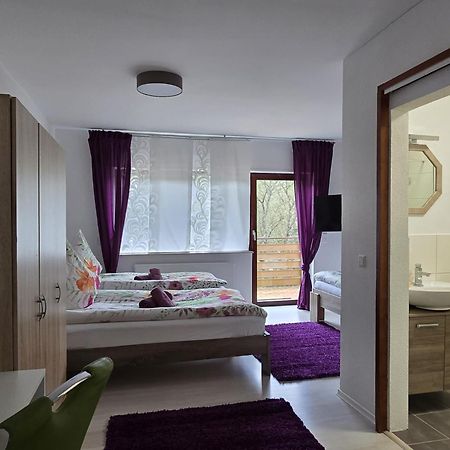 Appartement La Casa Suciu à Forchtenberg Extérieur photo