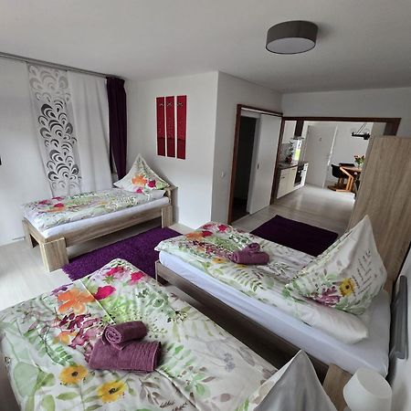 Appartement La Casa Suciu à Forchtenberg Extérieur photo