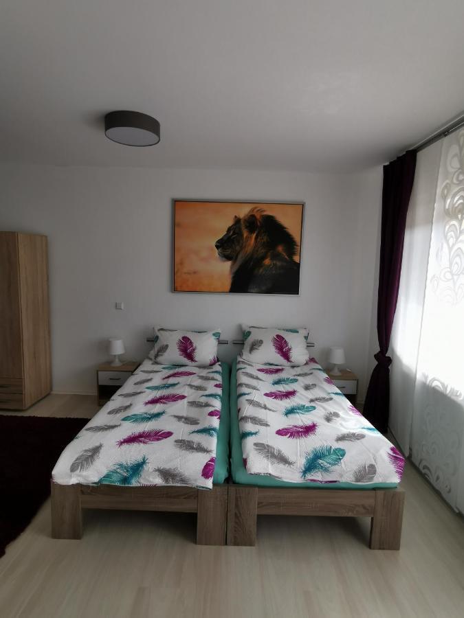 Appartement La Casa Suciu à Forchtenberg Extérieur photo
