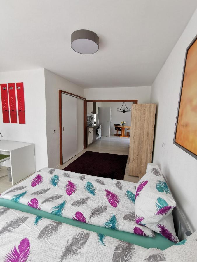 Appartement La Casa Suciu à Forchtenberg Extérieur photo